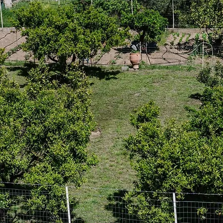 Apartament Zandre Shiny *